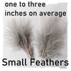30 Silver Grey Marabou Feathers Quality Craft Pack
