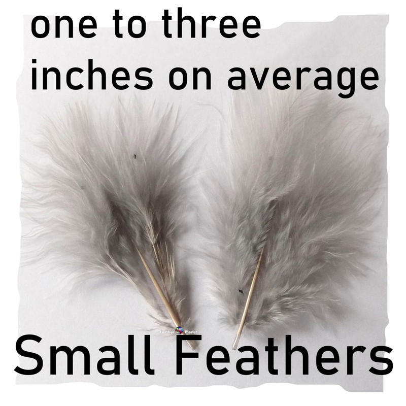30 Silver Grey Marabou Feathers Quality Craft Pack