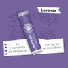 DR. AKERMAN'S NATURALS, Bálsamo Labial Natural Humectante, Pack de 5