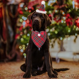 ADOGGYGO Christmas Dog Bandana Hat Bow tie Set - Stylish Red Plaid Pet Scarf Dog Christmas Costume Decoration Accessories for Medium Large Dogs Pets (Large, Red-2)