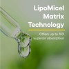 Natural Factors Quercetin LipoMicel Matrix - Supports Immune Health &