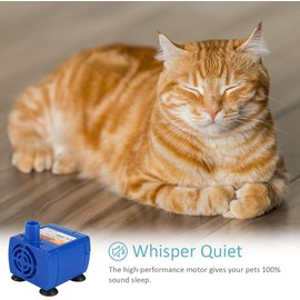 iPettie Pet Water Fountain Pump for iPettie and Hommii Water Fountain | Certificated Super Quiet Waterproof Pump | Pack of 1