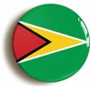 Ozorath GUYANA GUYANESE NATIONAL FLAG BUTTON BADGE (1inch / 25mm
