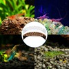Alovez Pack of 2 Aquarium Tunnel Underground Decoration for Small
