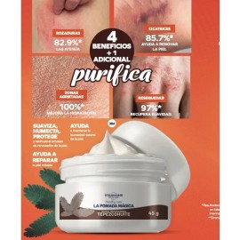 Stanhome Crema Reparadora La Pomada Mágica Tepezcohuite 45 G
