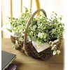 Ohashi Shinji Shoten Willow Basket 11-791 Handmade Basket Perfect for