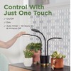 AeroGarden Trio Grow Light for Indoor Plants, Grow Live Plants