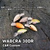 DAIWA C&R C&R Plug Wabukura 30DR Custom Keimura Cadiz