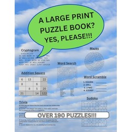A Large Print Puzzle Book? Yes, Please!!!