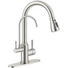 APPASO Kitchen Faucet with Water Filter, CUPC Certified Water Hose,