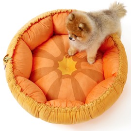 Lesure Dog beds for Small Dogs - Washable Cute Cat Beds with Versatile Dual-Use Design, Reversible Round Pet Bed for Puppy and Kitten, 25x25x8 Inches