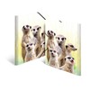 HERMA Collector's Folders A4 Meerkat Set, 3 Pieces, Children's Plastic