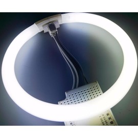 Diodesy- Pack of 2 FC40T5/SP841 T5 Circline Fluorescent Light Bulb, Circular Ceiling Lights, 40 Watt, 4100K Cool White Light, 3350 Lumens, 2GX13 4-Pin Base, 10000hr, Rohs Compliant