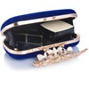 ILILAC Velvet Crystal Evening Bag Rhinestone Bride and Bridesmaid Wedding