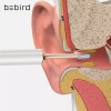Bebird T15 Ear Wax Removal Endoscope Visual Smart Waterproof Camera