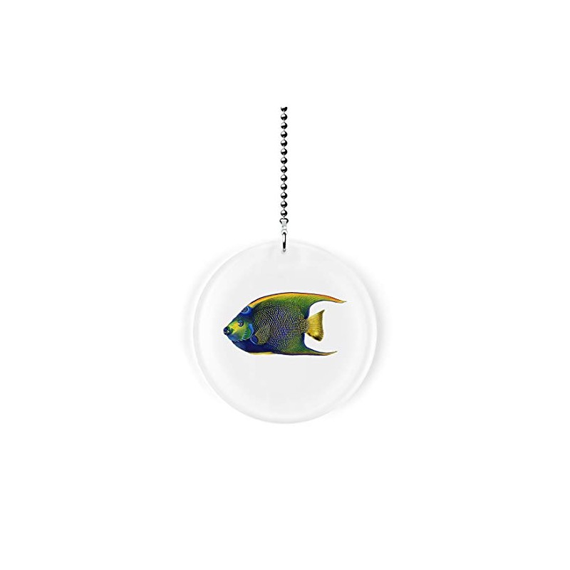 Tropical Angelfish Fan/Light Pull