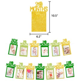 Tropical 12 Month Photo Banner Jungle Safari Theme 1st Birthday Decoration Milestone Garland One Birthday Party Supplies Gold
