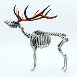 The Scale Grail Red Deer Skeleton 1:18 scale miniature diorama replica curiosities (1 skeleton) - White (unpainted)