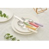 ANNOVA Silverware Set 20 Pieces Stainless Steel Cutlery Color Handle