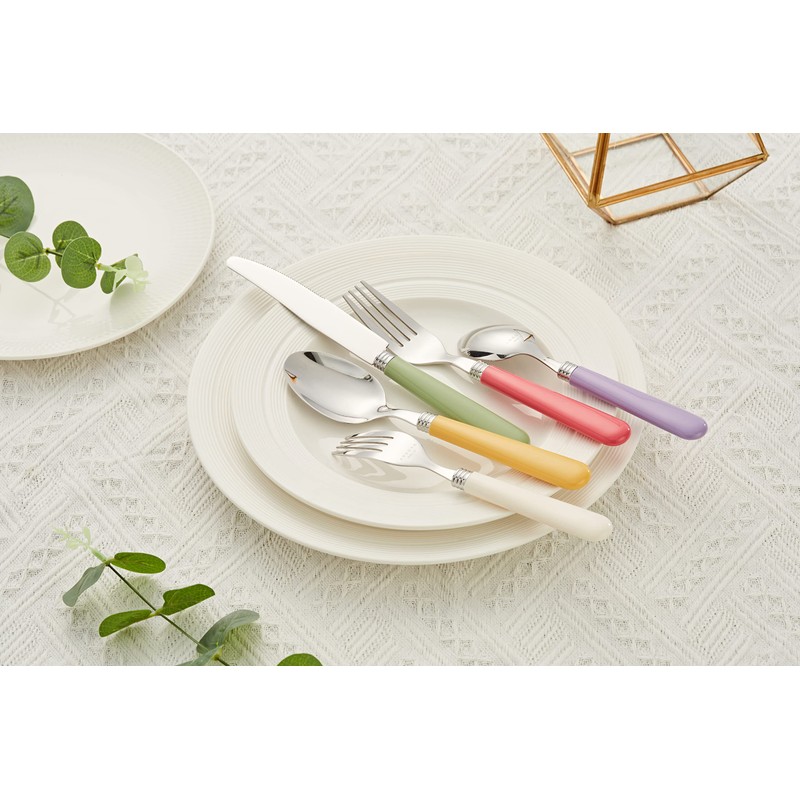 ANNOVA Silverware Set 20 Pieces Stainless Steel Cutlery Color Handle