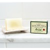 The Unemployed Philosophers Guild Shakespeare Lady Macbeth's Guest Soap -