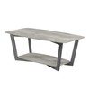 Convenience Concepts Graystone Coffee Table, Faux Birch / Slate Gray