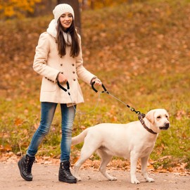 6 Feet Heavy Duty Dog Leash Super Strong Special Stainless Steel Alloy Metal Wire, Soft Foam Double Handle Water and Chew Proof Sturdy Hand Protection