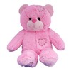 Cuddly Soft 16 inch Stuffed Pink Patches Teddy Bear...We Stuff