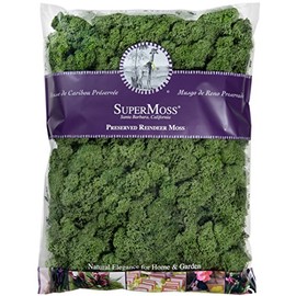 SuperMoss (25154) Reindeer Moss Preserved, Basil, 16 Ounces