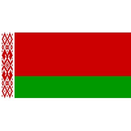 Belarus Country 2'x3' Polyester Flag