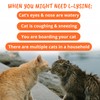 Under the Weather Pet Daily Cat L-Lysine | Boost Immune