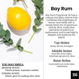 2 Pack Pick 80+Scents Car Air Freshener Hanging Car Diffuser Made in USA Last for 120 Days:_B6-Bay Rum