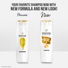 Pantene Daily Moisture Renewal Shampoo 300ml