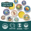 Badger Healing Balm - 2oz - 2 Pack