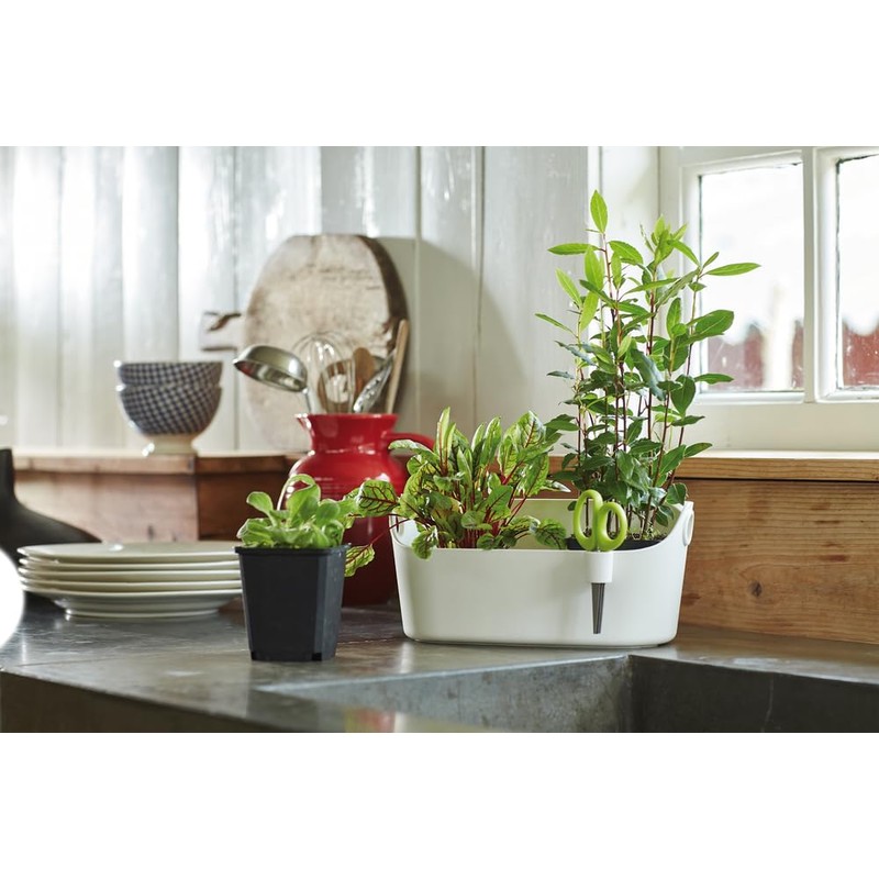 Elho Brussels Herb Station 30 - Flower Pot for Growing