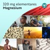 Magnesium Bisglycinate Capsules - Magnesium Glycinate - 320 mg Elementary