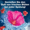 WC-Frisch Kraft Aktiv Duftspüler Blütenfrische, mit Lufterfrischer Effekt, 3er Pack