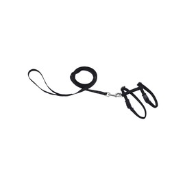 Coastal - Harness with 6' Leash, Black, 3/8” x 11”- 18”