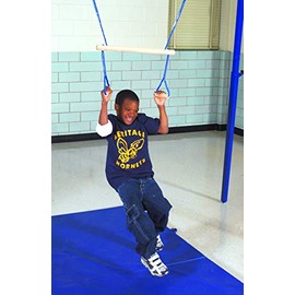 Abilitations Integrations Monkey-Swing Vestibular Orientation