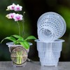 Meshpot 5 inch Clear Plastic Orchid Pots with Holes and