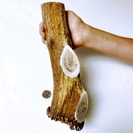 Mountain Dog Chews - Monster Whole Elk - Elk Antler Dog Chew - Grade A Premium - Organic - Made in USA - No Mess