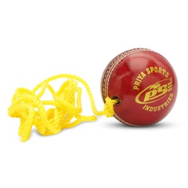 PSE Leather Practice Hanging Cricket Ball, Size Standard, (Red)