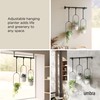 Umbra Triflora Hanging Planter for Window, Indoor Herb Garden, Set
