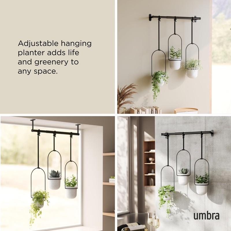 Umbra Triflora Hanging Planter for Window, Indoor Herb Garden, Set