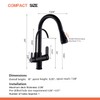 WANFAN Kitchen Sink Faucet with Pull Down Sprayer 2 Handle