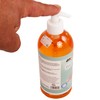 Axis Line Wellness Liquid Soap in Dispenser, 500 ml, pH