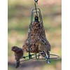 Mr. Bird Seed Bell Hanger