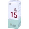 Biochemistry Pflüger 15 Potassium Iodate D 6 Tablets Pack of