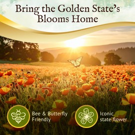 Everwilde Orange California Poppy Seeds 1/4 lb – Bright Orange Wildflowers – Drought-Tolerant, Easy-to-Grow Annual – Perfect for Gardens, Containers & Landscapes – Gold Vault Packet