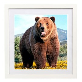 WOFFMX 16x16 Diamond Painting Picture Frames,Display Pictures 14x14 Inch/35x35cm With Mat or 16x16 Inch/ 40x40cm Without Mat, Picture Frames Diamond Art Frames Wood White (YK0062)